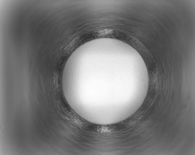 X0000056000565200509162321