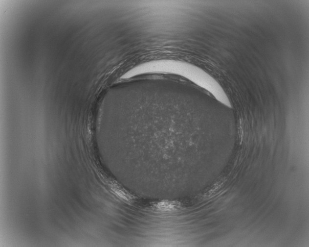 X0000056000566200509162321