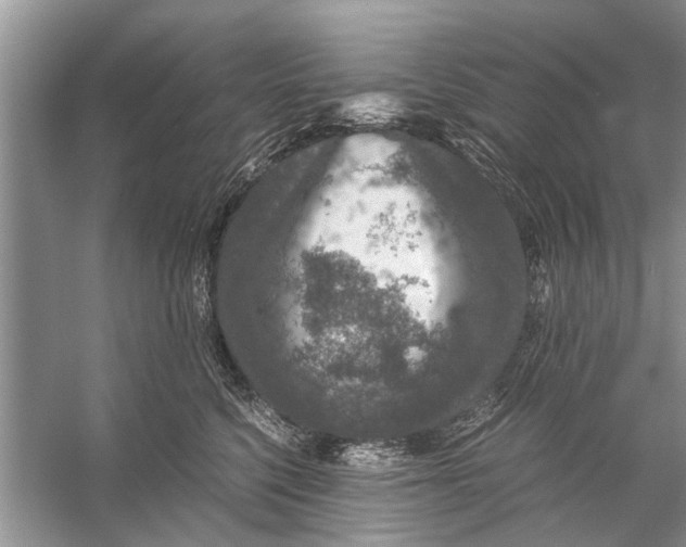 X0000056000568200509162321