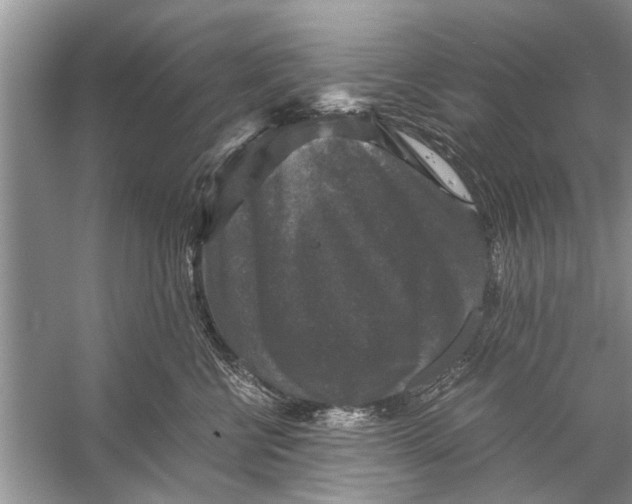 X0000056000570200509162321