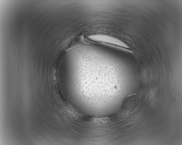 X0000056000571200509162321