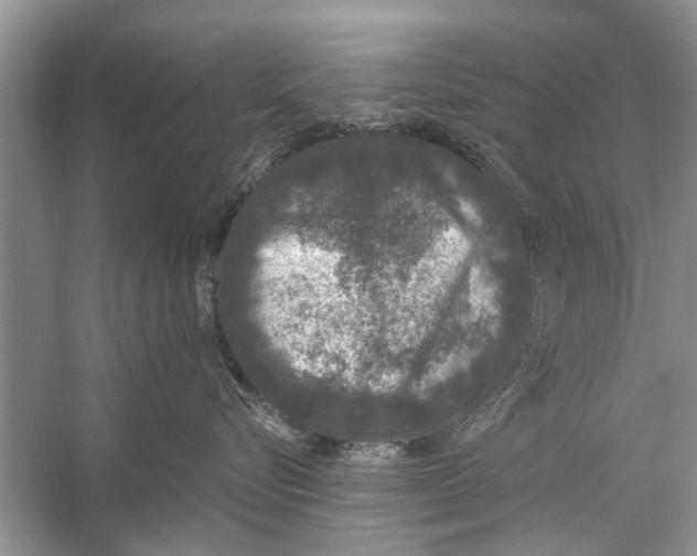 X0000056000576200509162321