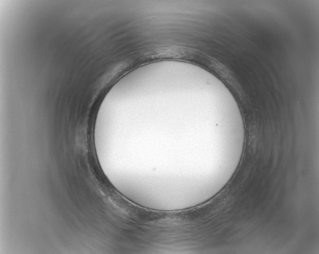 X0000056000578200509162320