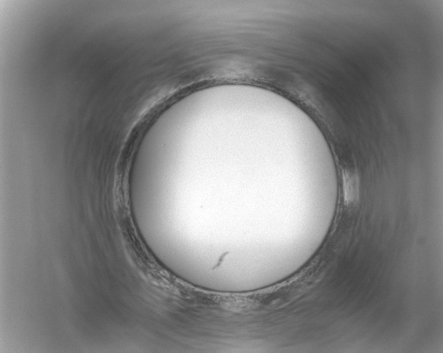 X0000056000579200509162320