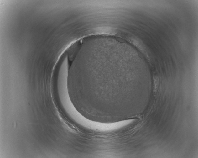 X0000056000580200509162320