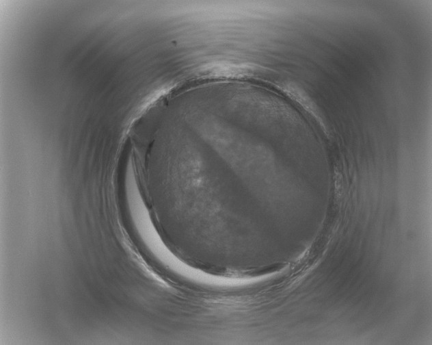 X0000056000581200509162320