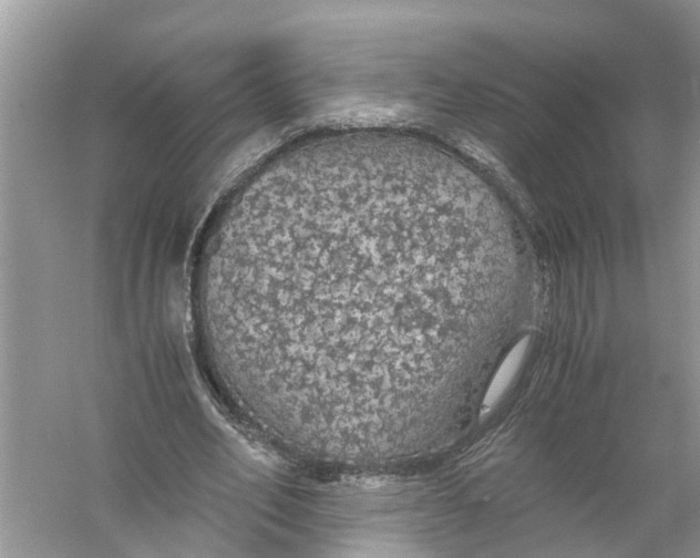 X0000056000582200509162320