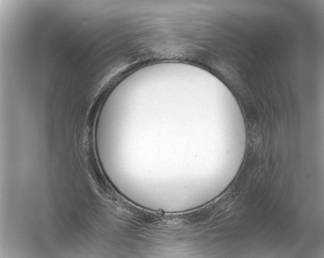 X0000056000583200509162320