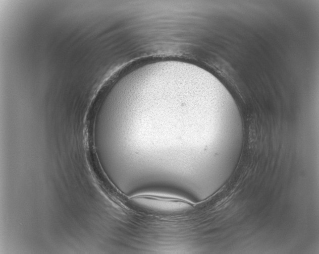 X0000056000584200509162320