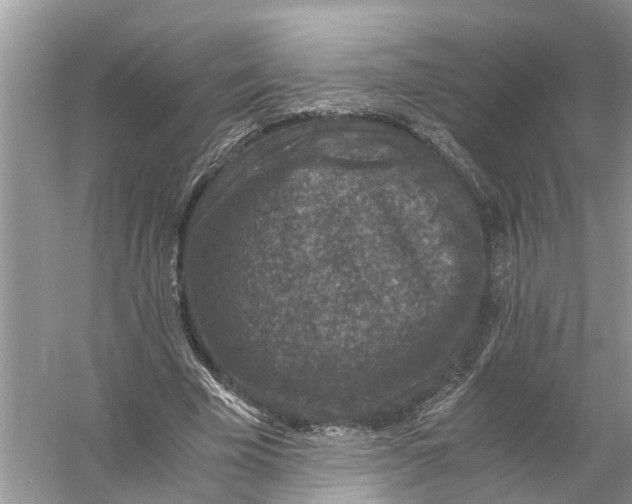 X0000056000585200509162320