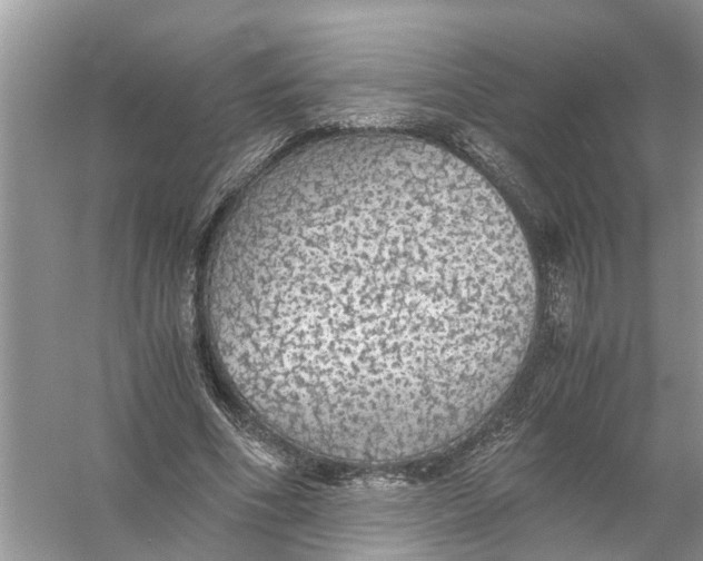 X0000056000586200509162320