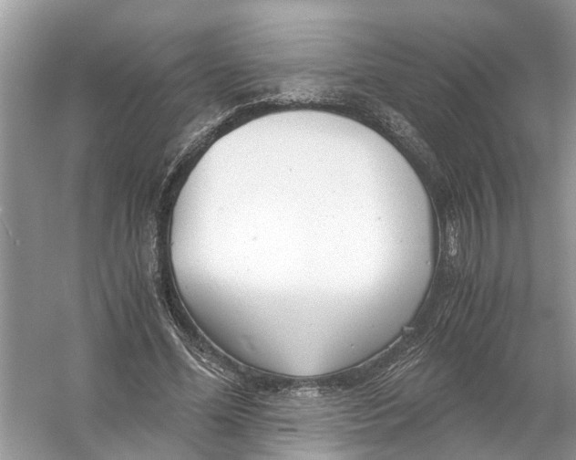 X0000056000588200509162320