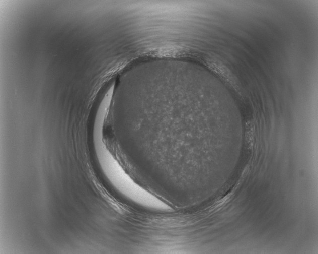 X0000056000589200509162320