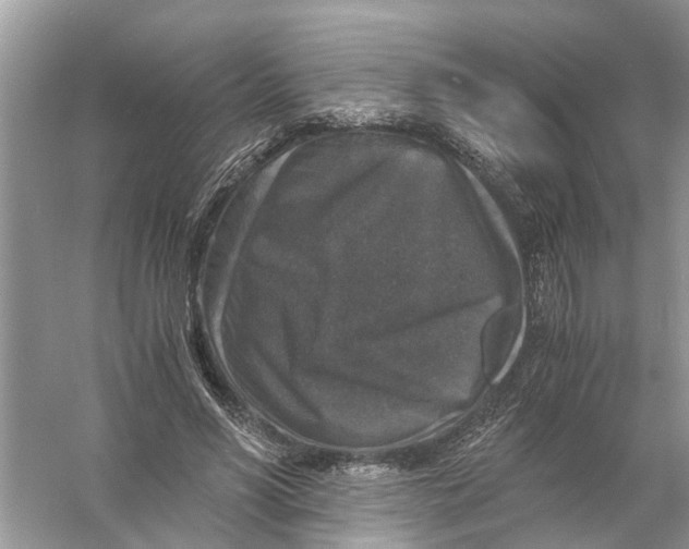 X0000056000590200509162320