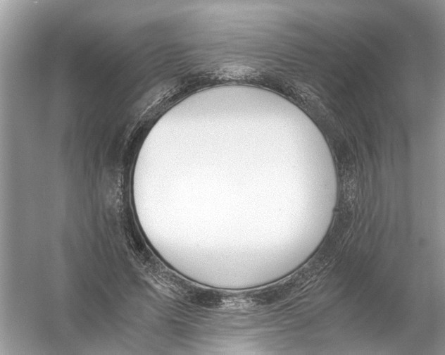 X0000056000591200509162320