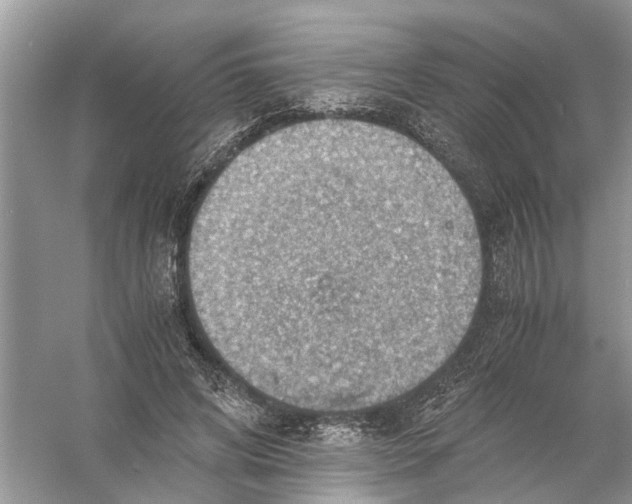 X0000056000592200509162320