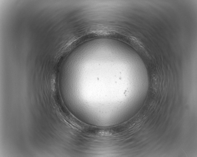 X0000056000596200509162320