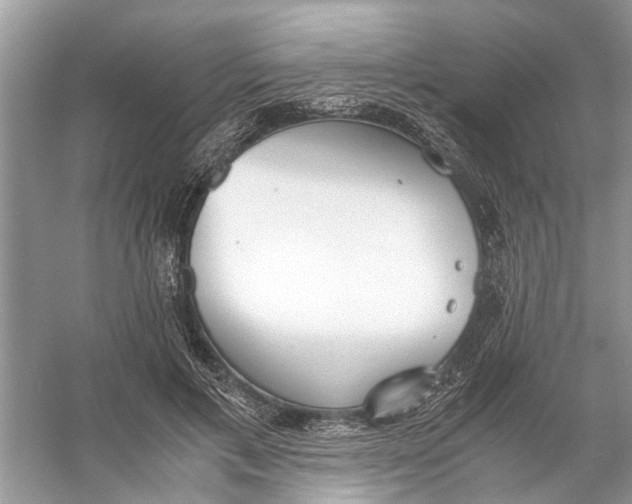 X0000056000597200509162320