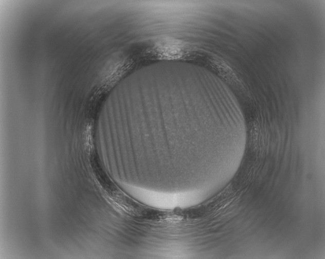 X0000056000598200509162320