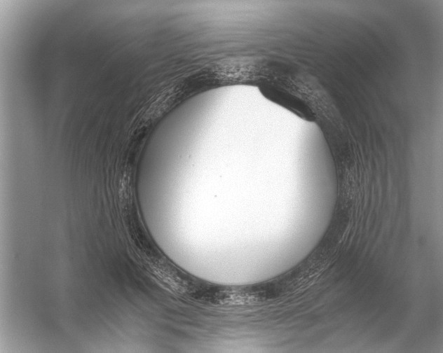 X0000056000601200509162320