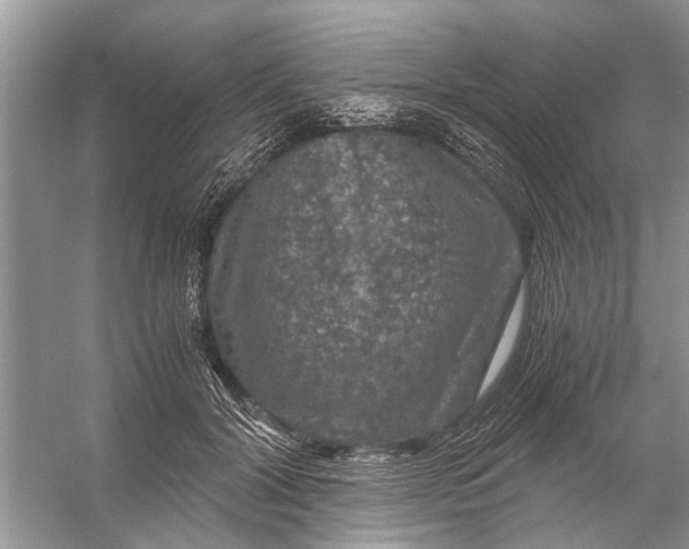 X0000056000604200509162320