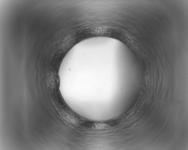 X0000056000605200509162320