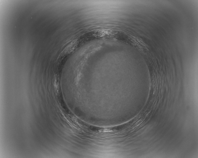 X0000056000607200509162320