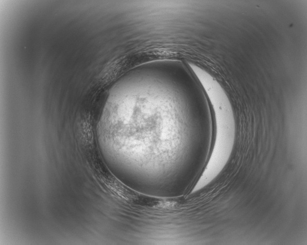 X0000056000609200509162319