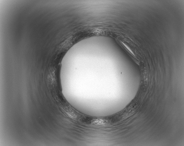 X0000056000611200509162319