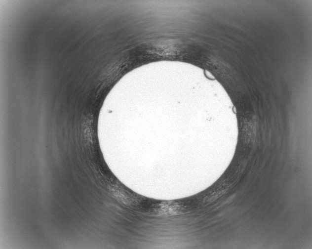 X0000056000612200509162319