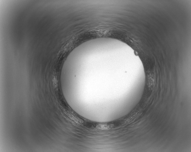 X0000056000613200509162319