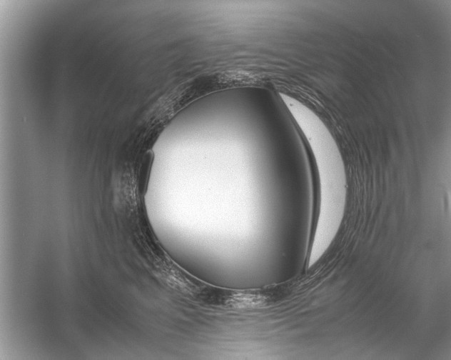 X0000056000617200509162319