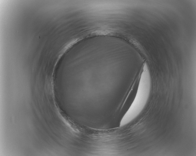 X0000056000626200509162318