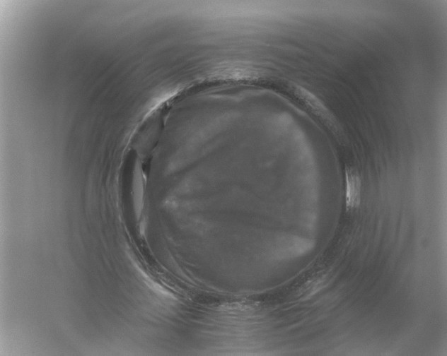 X0000056000627200509162318