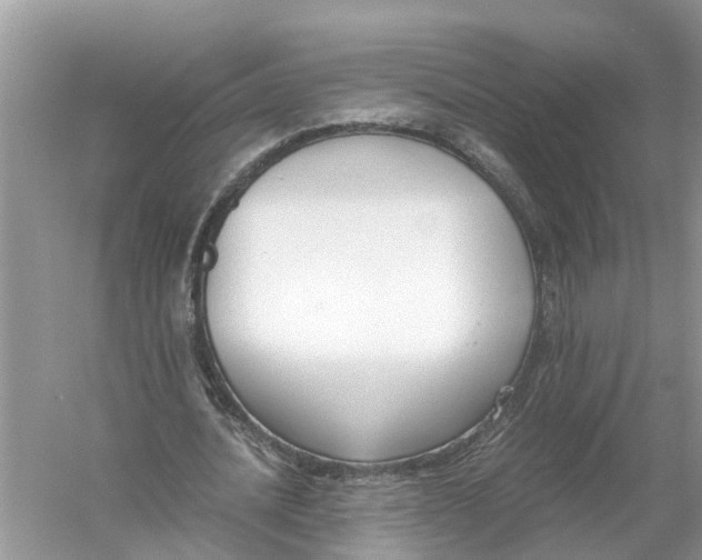 X0000056000628200509162318