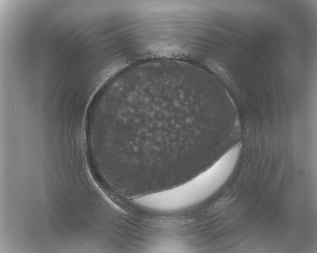 X0000056000630200509162318