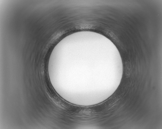 X0000056000631200509162318