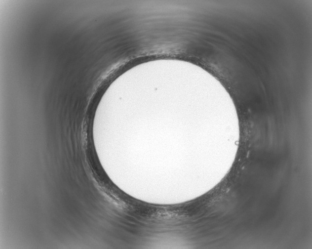 X0000056000632200509162319