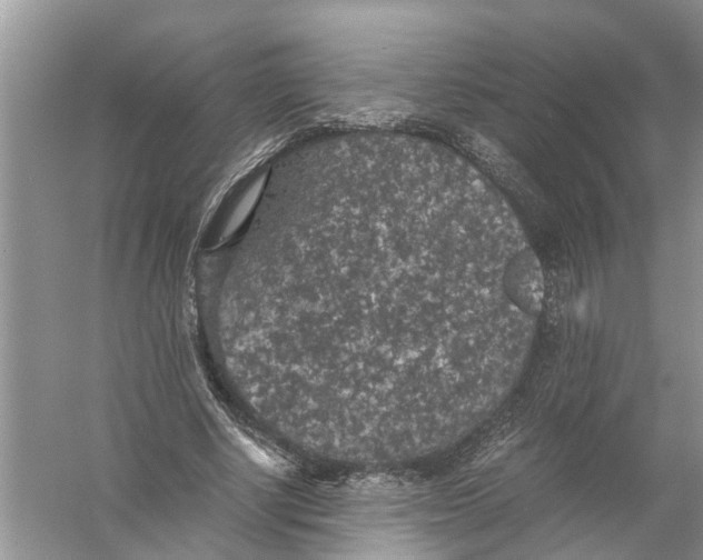 X0000056000634200509162319