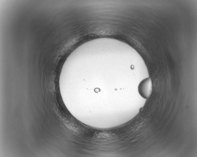 X0000056000635200509162319