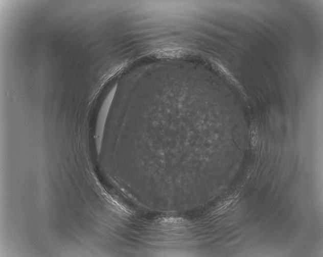 X0000056000637200509162319