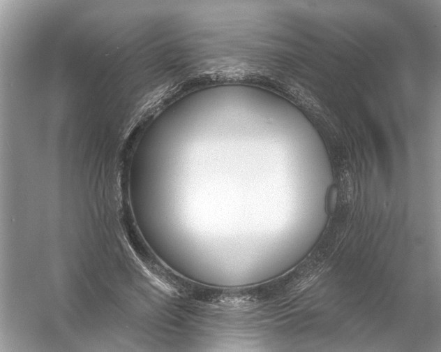 X0000056000638200509162319