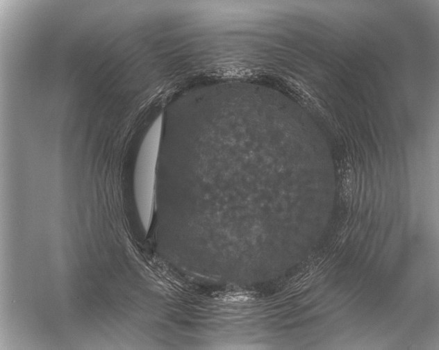 X0000056000643200509162319