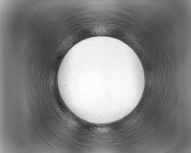 X0000056000645200509162319