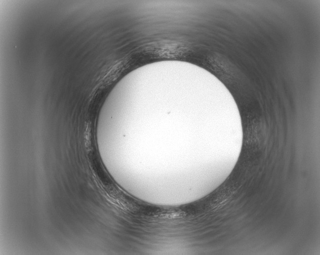 X0000056000646200509162319