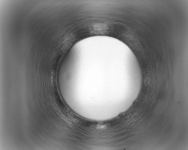 X0000056000647200509162319