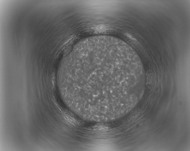 X0000056000648200509162319