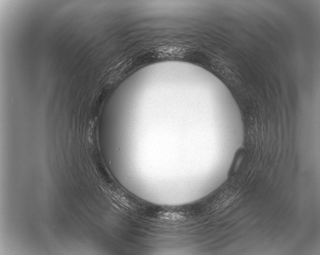 X0000056000649200509162319