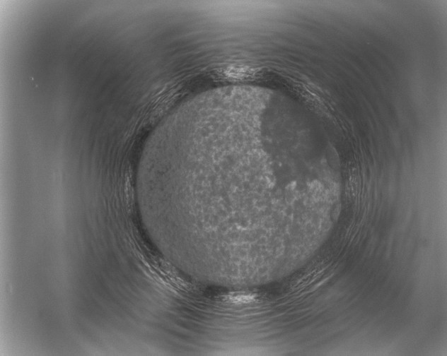 X0000056000651200509162319