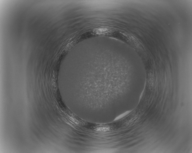 X0000056000653200509162319